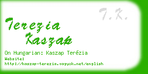 terezia kaszap business card